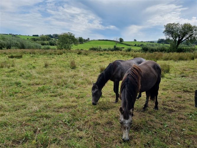 Shanclough, Currabaggan, Knockmore, Ballina, Co. Mayo