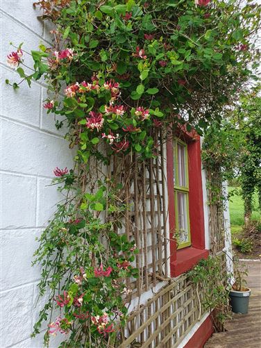 Shanclough, Currabaggan, Knockmore, Ballina, Co. Mayo