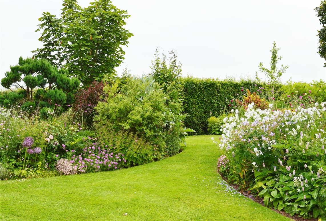 Countryside Magic,Richards Castle,Shropshire,United Kingdom