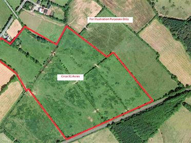 Lands Ballyholahan West, Clanwilliam, Emly, Tipperary