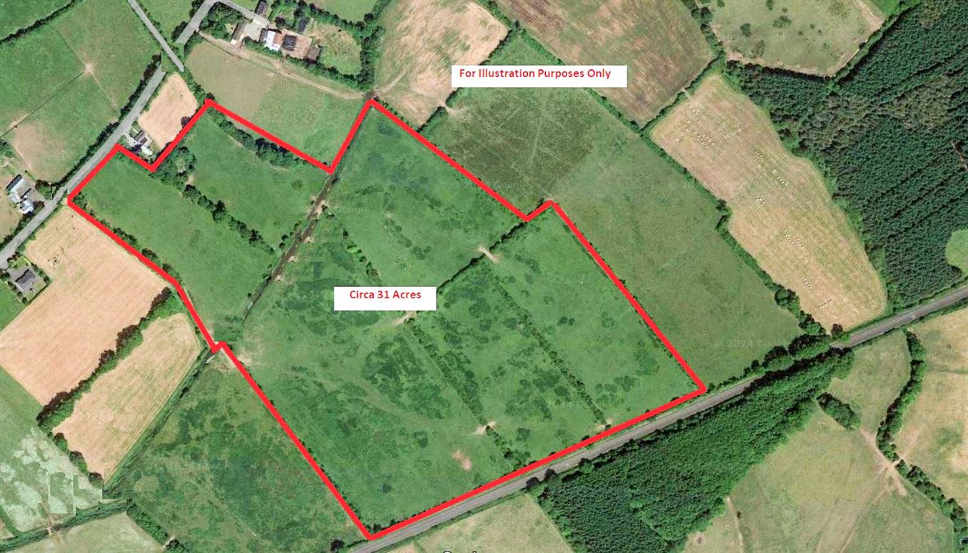 Lands Ballyholahan West, Clanwilliam, Emly, Tipperary