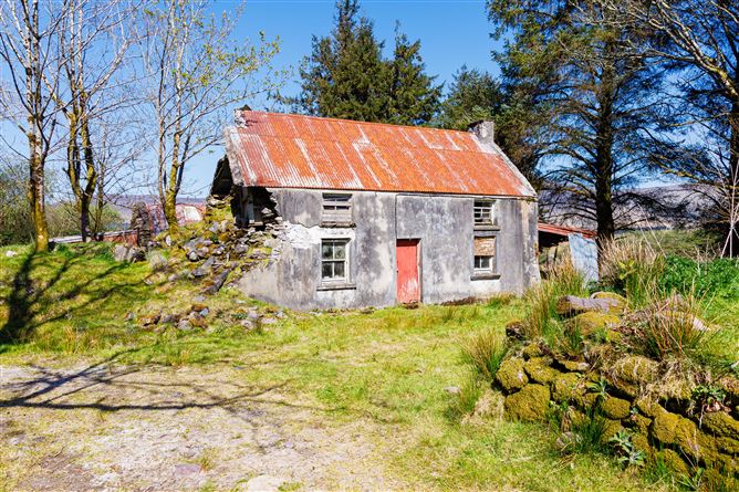 Derreen, Mastergeehy, Waterville, Co. Kerry. , Waterville, Kerry