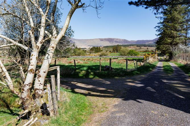 Derreen, Mastergeehy, Waterville, Co. Kerry. , Waterville, Kerry