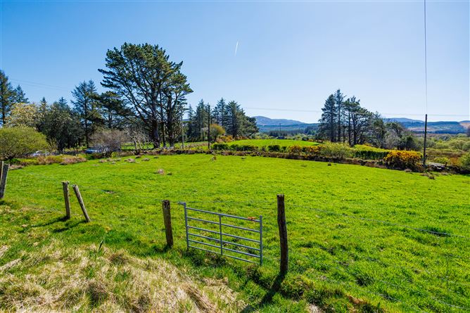 Derreen, Mastergeehy, Waterville, Co. Kerry. , Waterville, Kerry
