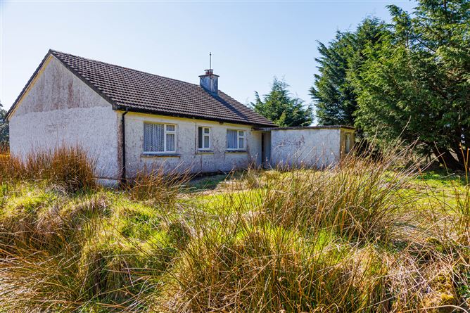 Derreen, Mastergeehy, Waterville, Co. Kerry. , Waterville, Kerry