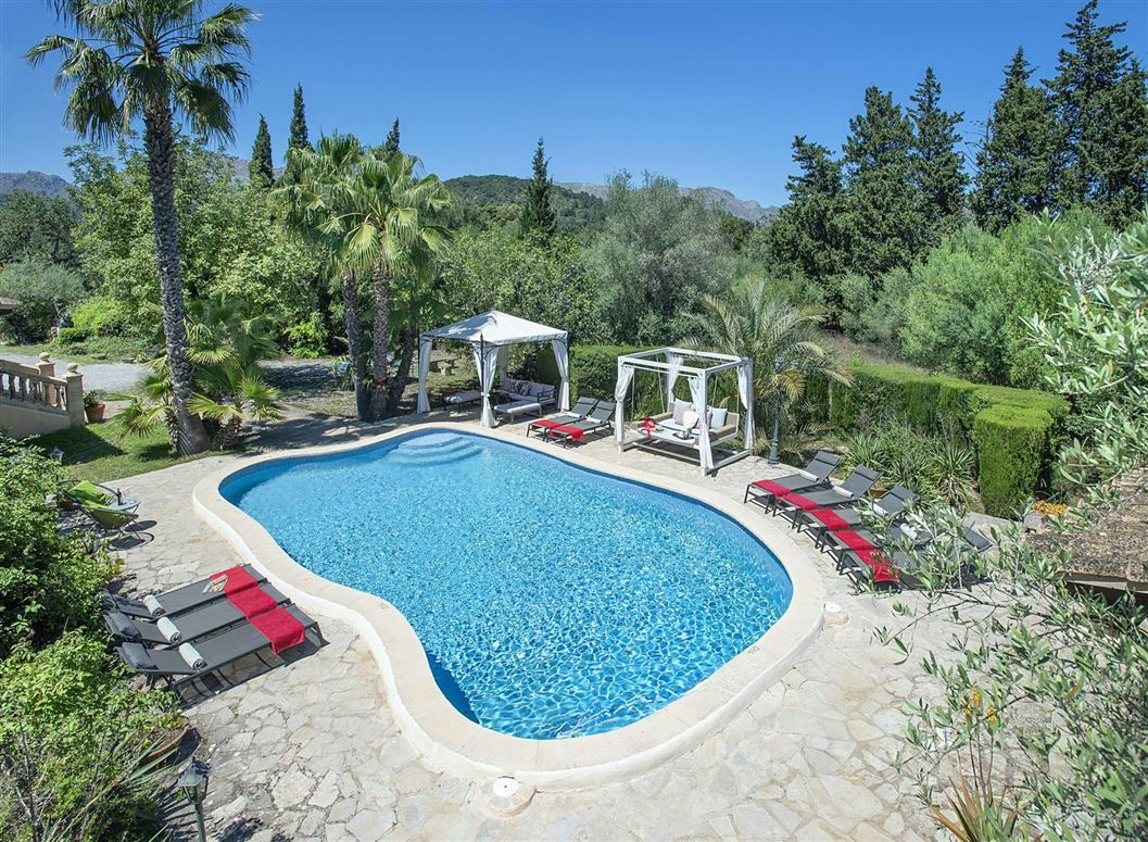 Olives and Palms,Pollença,Balearic Islands,Spain