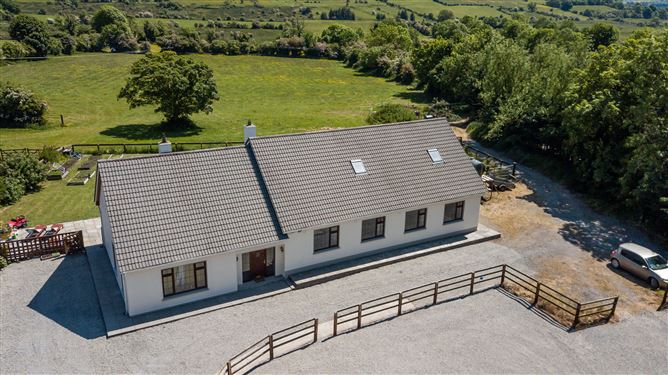 Stable Lane On c. 8 Acres / 3.23 HA., Hempstown, Blessington, Wicklow