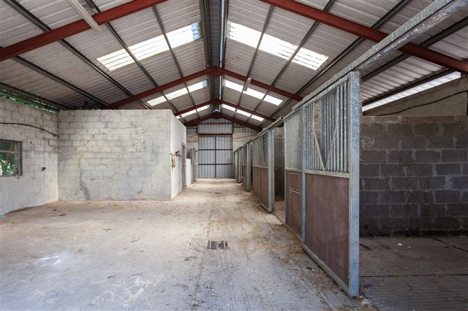 Stable Lane On c. 8 Acres / 3.23 HA., Hempstown, Blessington, Wicklow