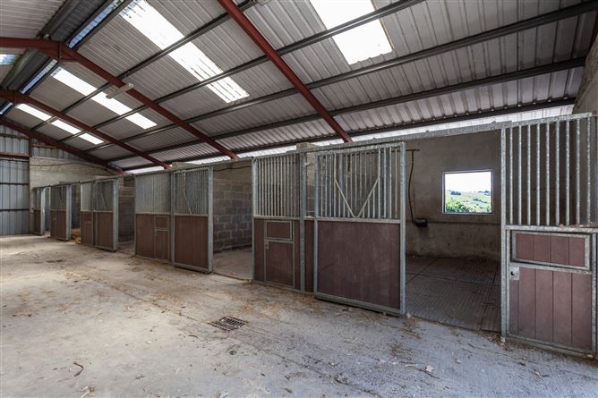 Stable Lane On c. 8 Acres / 3.23 HA., Hempstown, Blessington, Wicklow