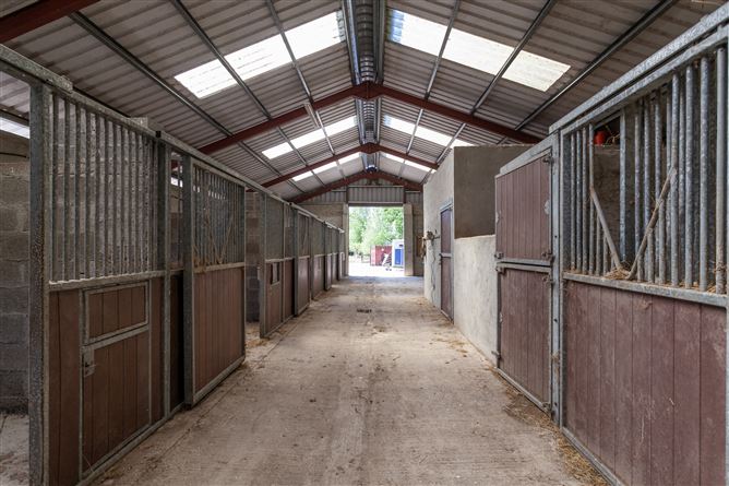 Stable Lane On c. 8 Acres / 3.23 HA., Hempstown, Blessington, Wicklow