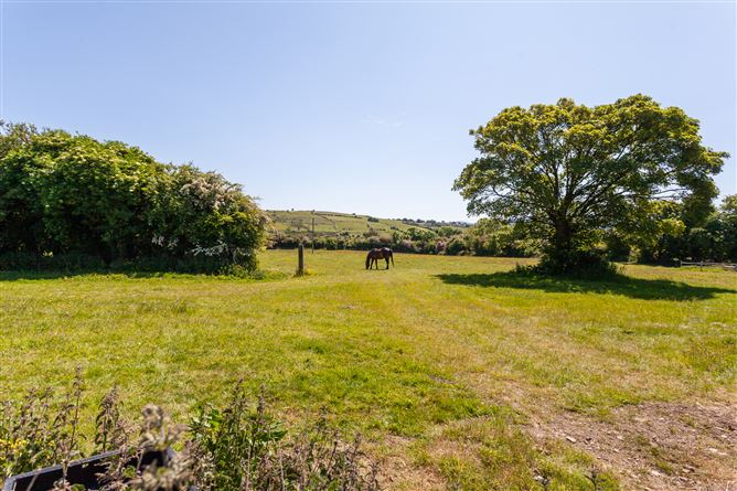 Stable Lane On c. 8 Acres / 3.23 HA., Hempstown, Blessington, Wicklow
