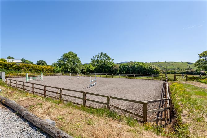 Stable Lane On c. 8 Acres / 3.23 HA., Hempstown, Blessington, Wicklow