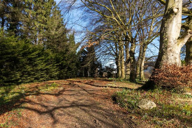 Lot One, Somerton House, Lucan, Co. Dublin