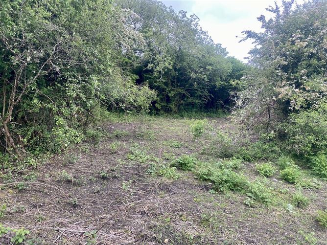 Clooniffe, Moycullen, Co. Galway