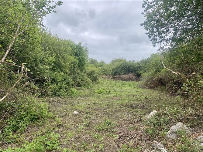 Clooniffe, Moycullen, Co. Galway