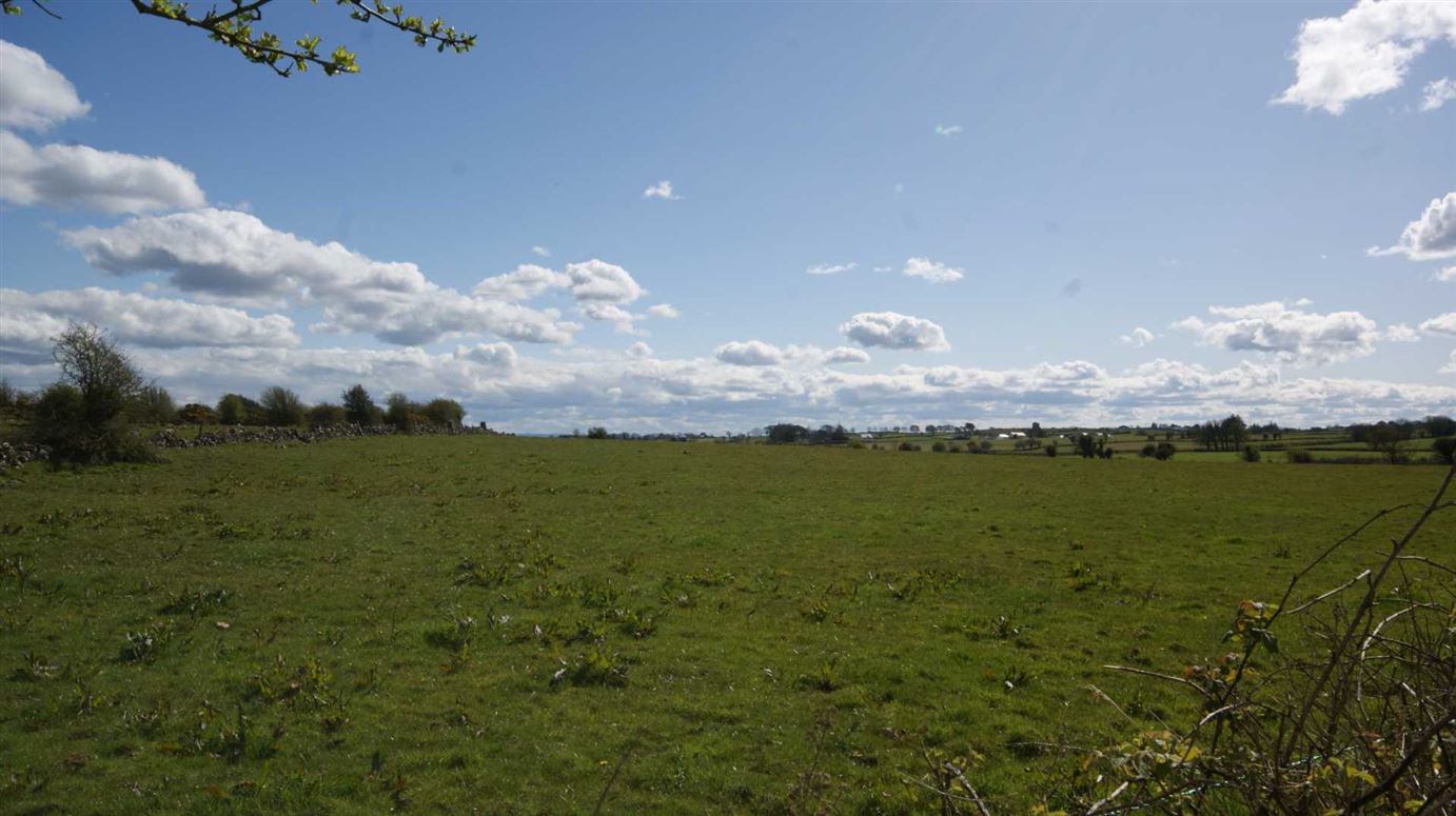 Stonepark Farmland, Abbeyknockmoy, Tuam, County Galway DNG Lyons and