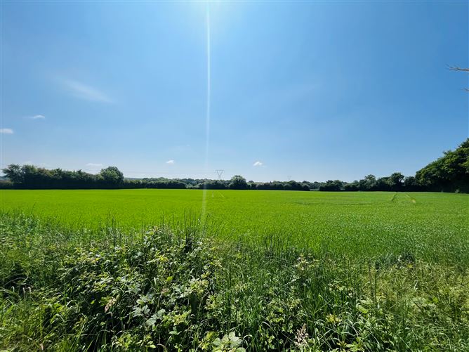 Kiltrea, Caim, Enniscorthy, Wexford