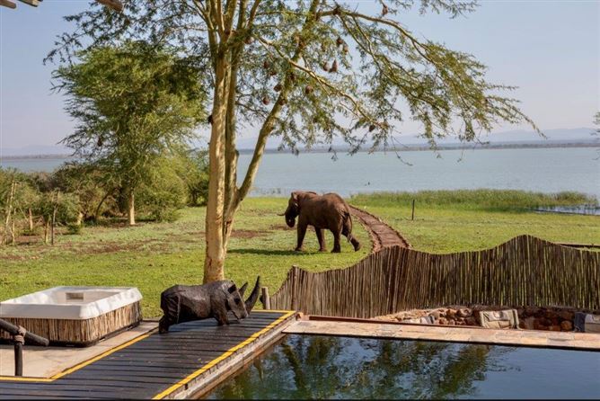 Private, Kujabula Lodge Inkhundla Somntongo, Swaziland, Lavumisa