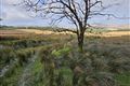 Derryreag, Clonkeen