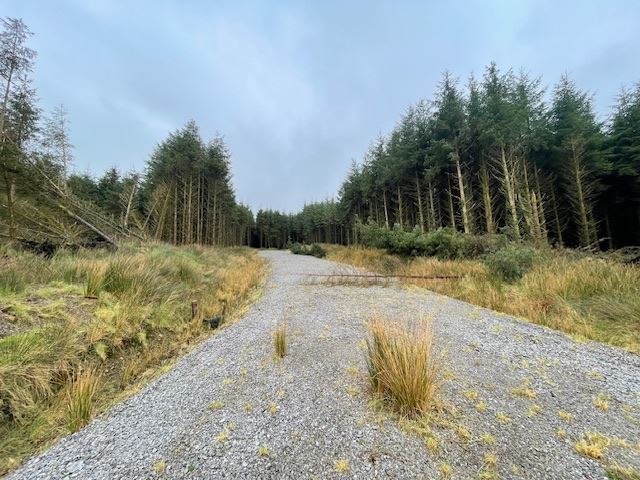 Cordal, Castleisland, Kerry