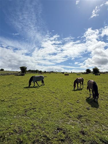 Photo 37 of 62 — Currinah, Carracastle, Ballaghaderreen, Roscommon