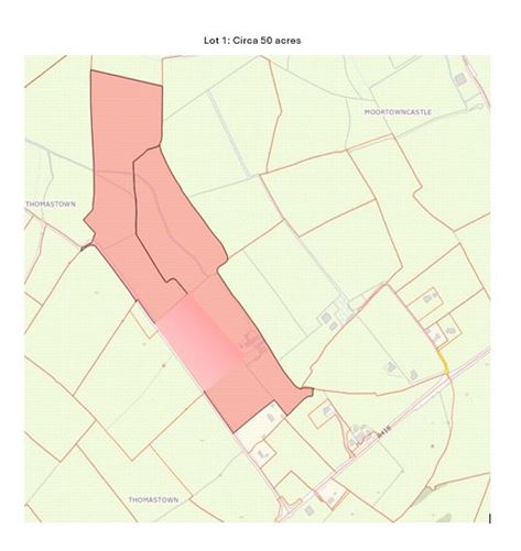 Photo 6 of 6 — 50.5 Acres, Thomastown, Kilcullen, Kilcullen, Kildare