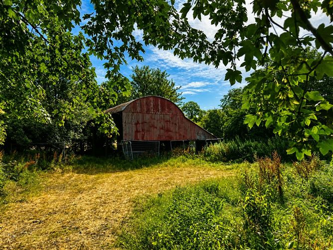 50.5 Acres, Thomastown, Kilcullen, Kilcullen, Kildare