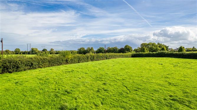 15 Acres Smithstown, Maynooth, County Kildare