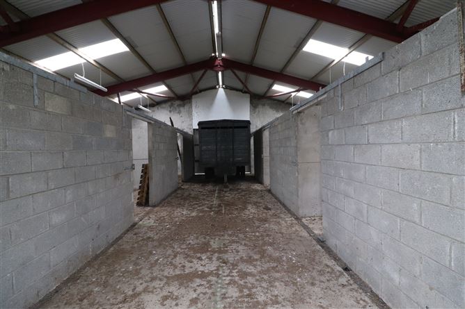 Beglieve, Bailieborough, Cavan