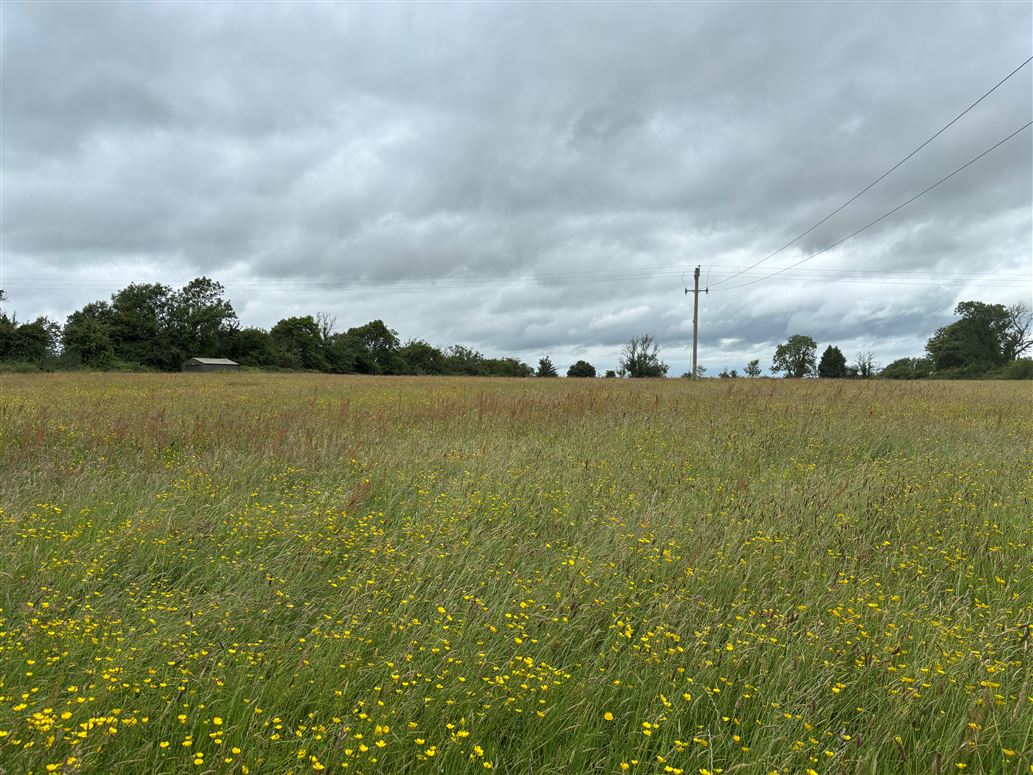 7.5 Acres, Pheopotstown, Kilcock, Meath