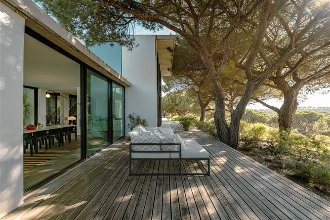 Pines and Twenty,Grândola,Setúbal,Portugal