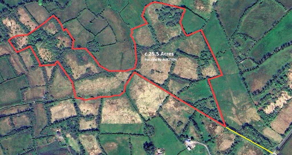 Corry, Kilmore, Carrick On Shannon, Roscommon