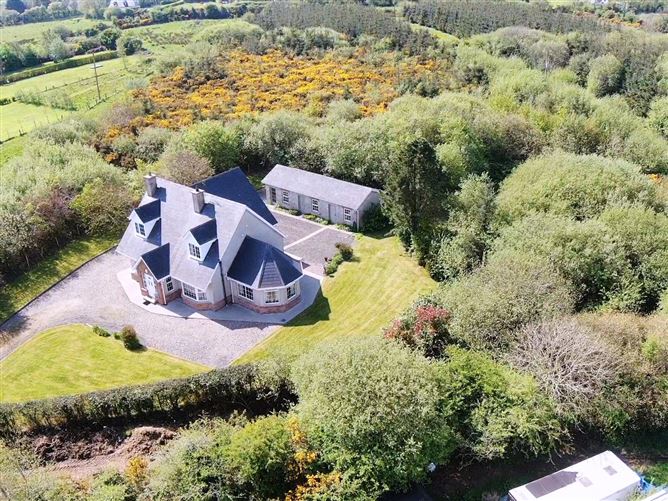 Common, Bridgetown, Co. Wexford