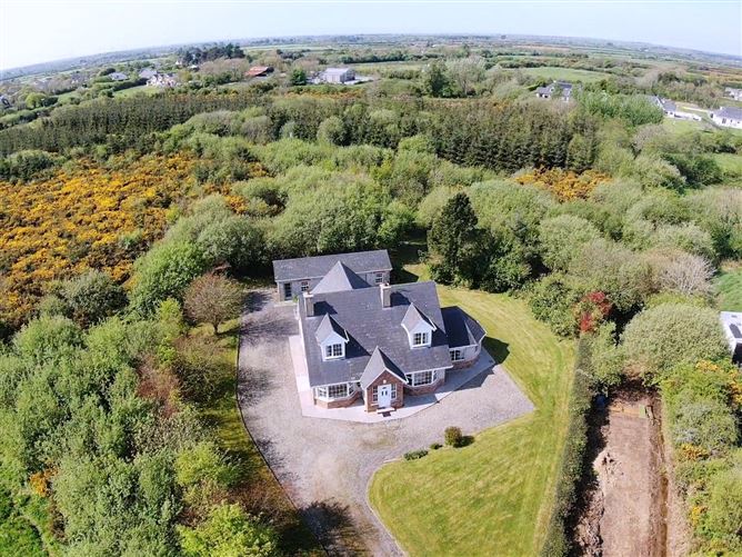 Common, Bridgetown, Co. Wexford