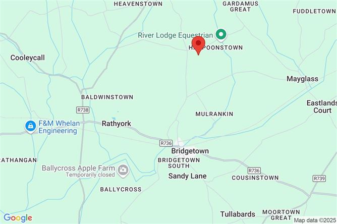 Common, Bridgetown, Co. Wexford