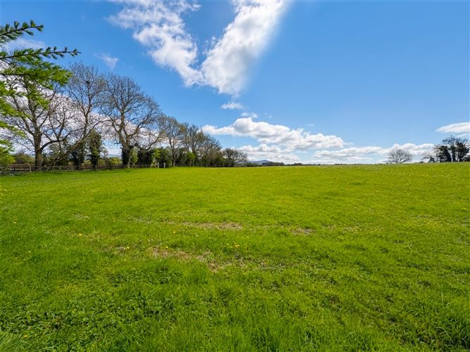 Photo 14 of 28 — Harristown, Brannockstown, Kilcullen, Kildare