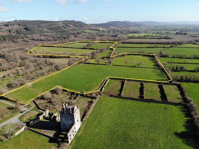 Commercial property for sale in Tipperary MyHome.ie