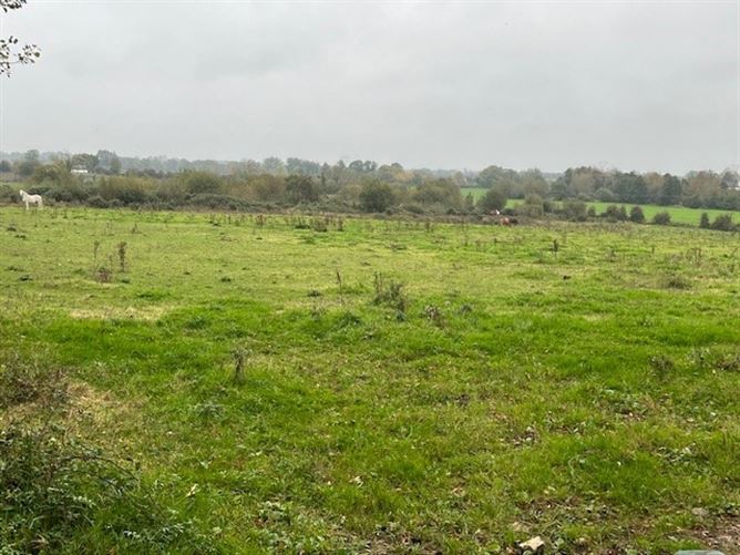 Ballyhogan, Ballycommon, Nenagh, Co. Tipperary
