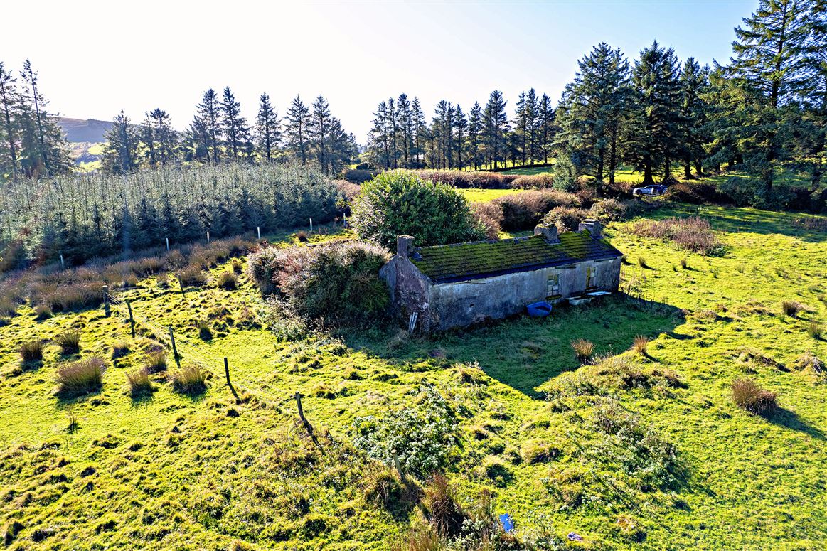 Boolahallagh, Newcastle, Tipperary