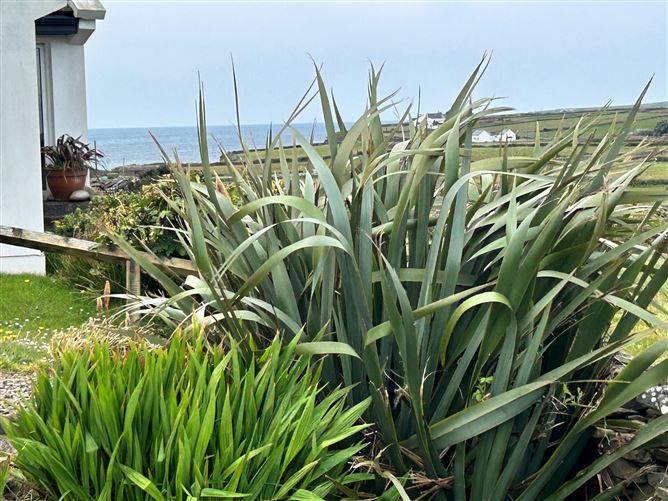 33 Knockrahaderry, Liscannor, Co. Clare, Ennistymon, Clare