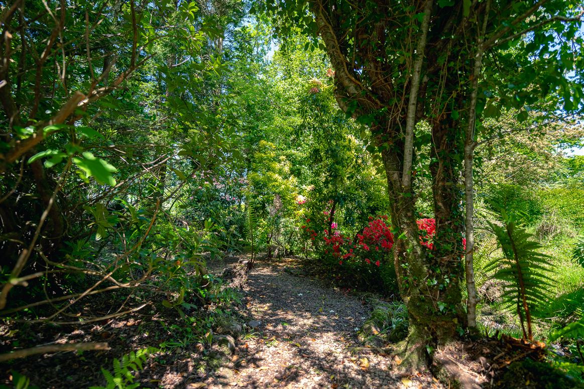 Killaha East, Kenmare, Co. Kerry, V93 K2D7