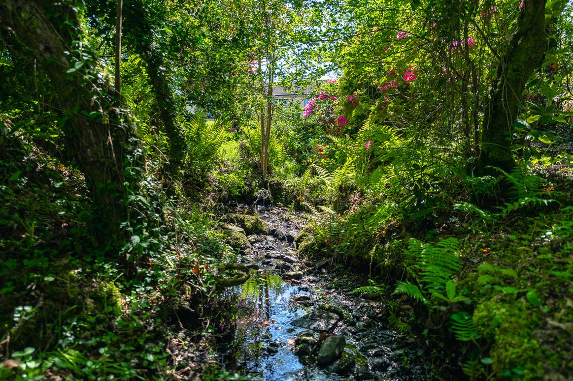 Killaha East, Kenmare, Co. Kerry, V93 K2D7