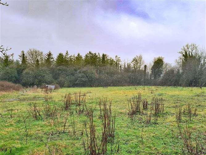 Curraheen, Horse & Jockey, Thurles, Co. Tipperary
