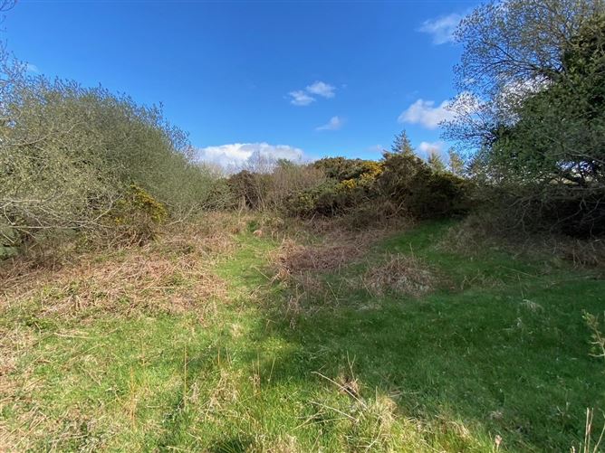 Baunoge, Letterfrack, Galway
