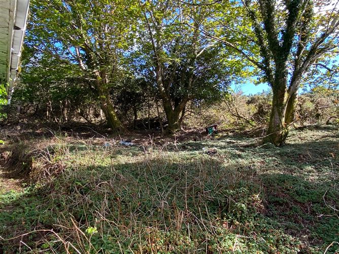 Baunoge, Letterfrack, Galway