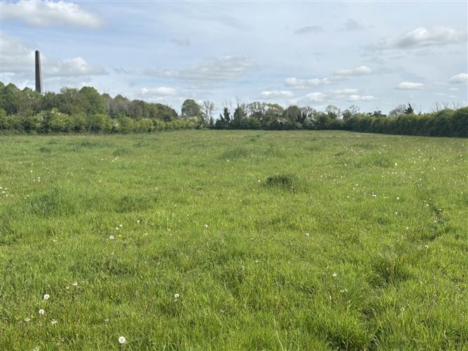 4.4 Acres Barrogstown, Maynooth, County Kildare