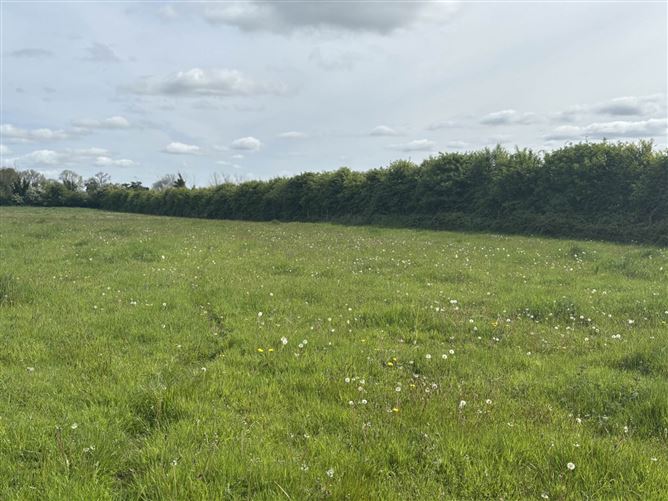 4.4 Acres Barrogstown, Maynooth, County Kildare