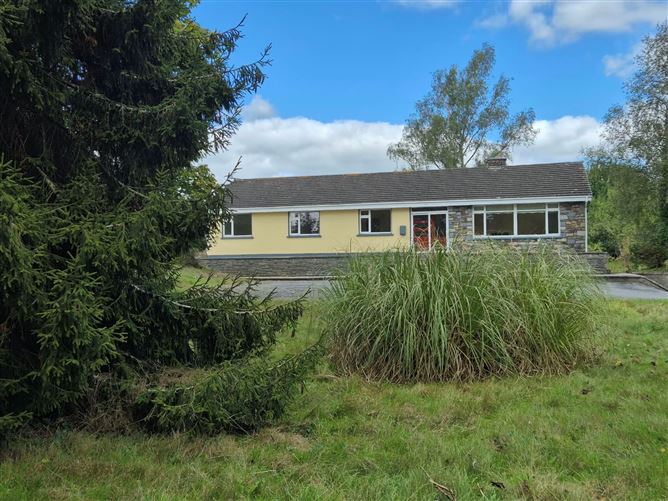 Wells, Bagenalstown, Co. Carlow