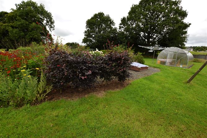 Dunancory, Virginia, Cavan
