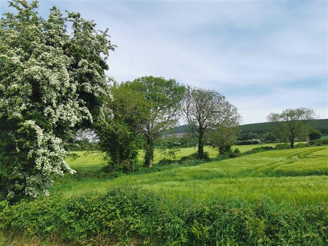 Ballybeg, Ferns, Co. Wexford